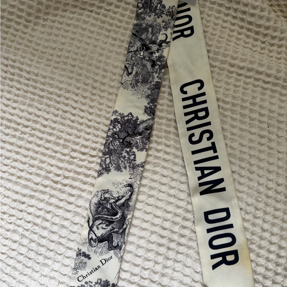 Dior Twilly Scarf